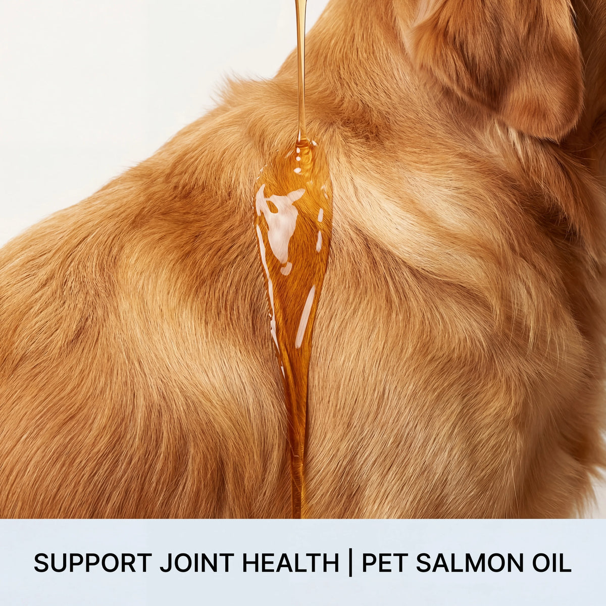 Natural Salmon Oil for Pets Dog Food Topper Liquid Vitamin E Supplement Shiny Coat and Heart Health Gentle Formula Pump Bottle