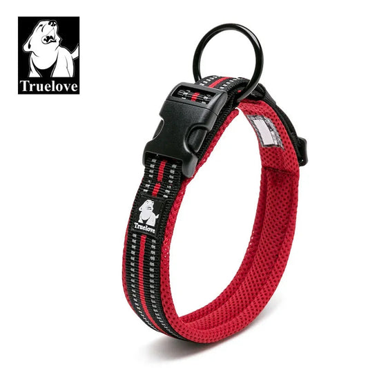 Best Dog Collars in 2026: Top Picks and Buying Guide