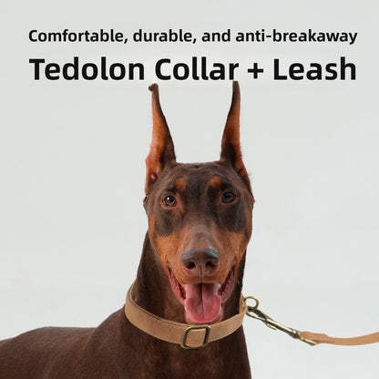 Retro Explosion-Proof Dog Leash Pet Collar Set for Large Medium Small Dogs