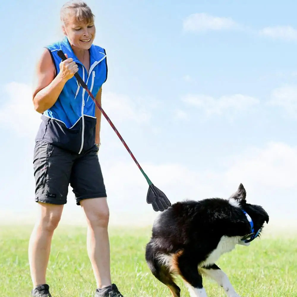 Target Stick Dog Training Portable Flirt Pole For Small Dogs Multifunctional Training Stick Household Pet Supplies Pet Training