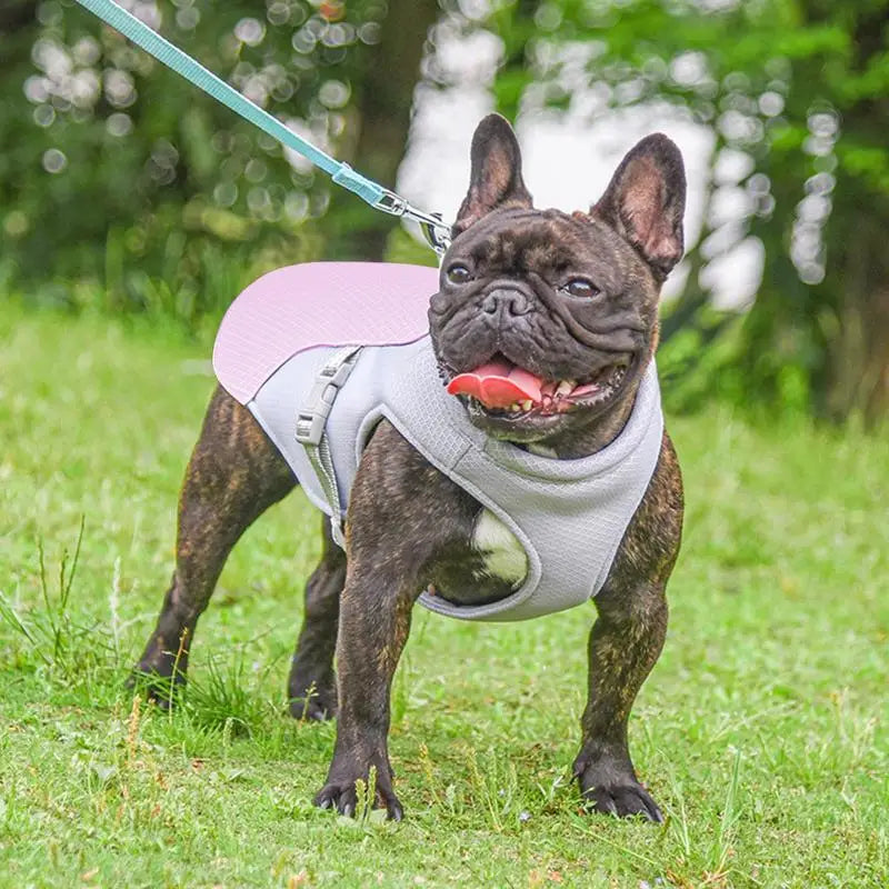 Dog Cooling Vest Summer Three-Layer Vest Dog Cooler Cooling Clothing Pet Dogs Health Supplies For Exercise Mountaineering Hiking