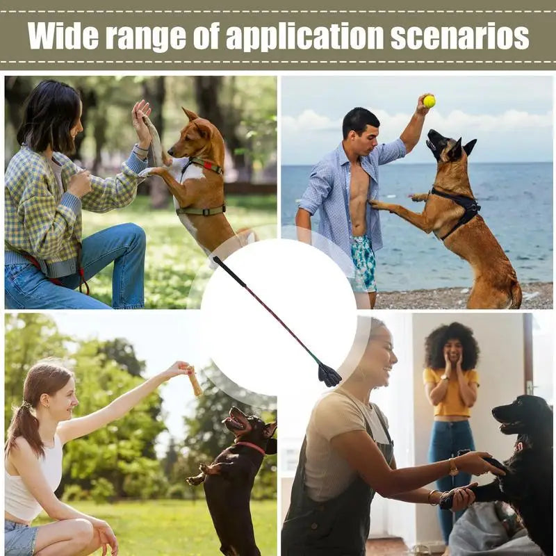 Target Stick Dog Training Portable Flirt Pole For Small Dogs Multifunctional Training Stick Household Pet Supplies Pet Training