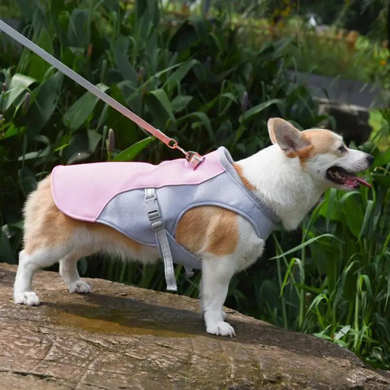 Dog Cooling Vest Summer Three-Layer Vest Dog Cooler Cooling Clothing Pet Dogs Health Supplies For Exercise Mountaineering Hiking