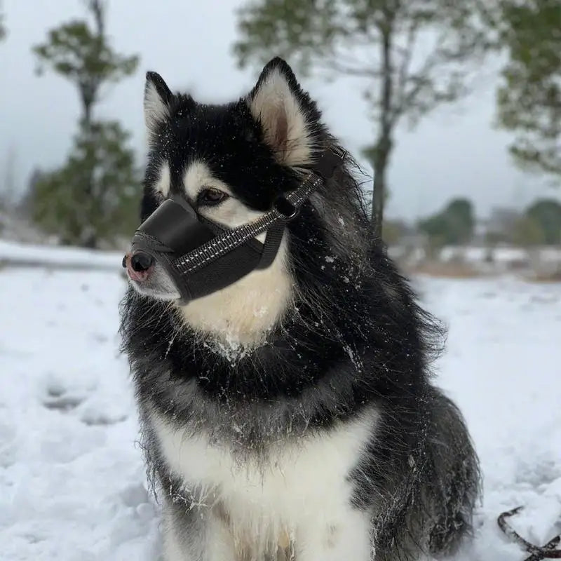 Large Dog Muzzle Adjustable Straps Breathable Soft Muzzle For Dog Biting Prevention Anti-Chaos Large Pet Anti-barking Muzzle