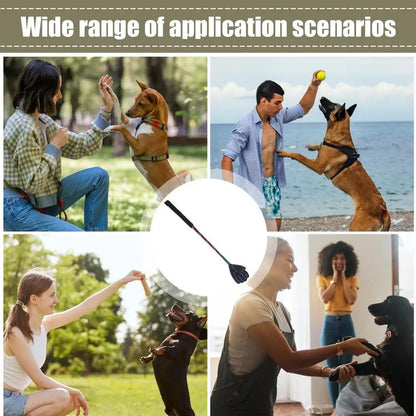 Target Stick Dog Training Portable Flirt Pole For Small Dogs Multifunctional Training Stick Household Pet Supplies Pet Training