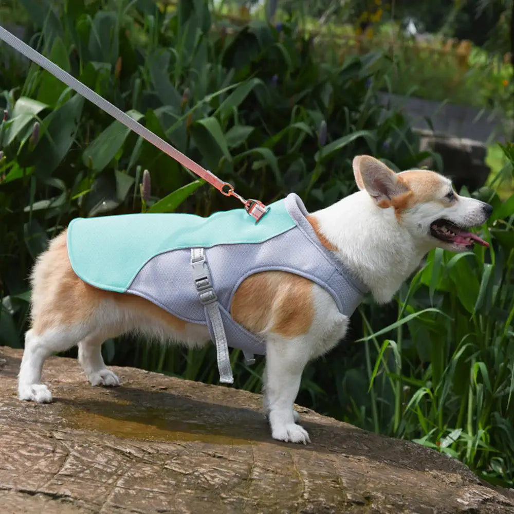 Dog Cooling Vest Summer Three-Layer Vest Dog Cooler Cooling Clothing Pet Dogs Health Supplies For Exercise Mountaineering Hiking