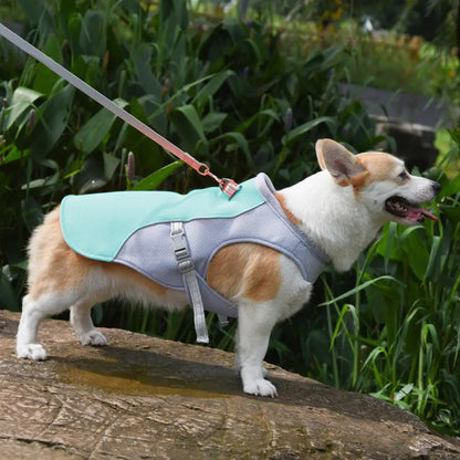 Dog Cooling Vest Summer Three-Layer Vest Dog Cooler Cooling Clothing Pet Dogs Health Supplies For Exercise Mountaineering Hiking