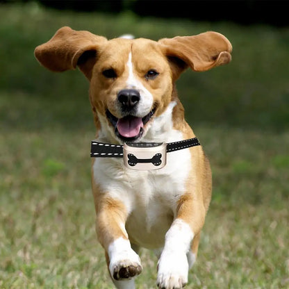 Pet Dog Anti Bark Collar Control Train Rechargeable IP65 Waterproof Stop Barking Dog Vibration Ultrasonic Training Collars