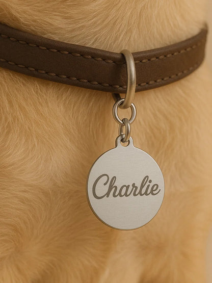 Custom Stainless Steel Pet ID Tag Engraved Name Phone Number Round Dog Cat Collar Tag Personalized Puppy Pet Name Tag 25mm