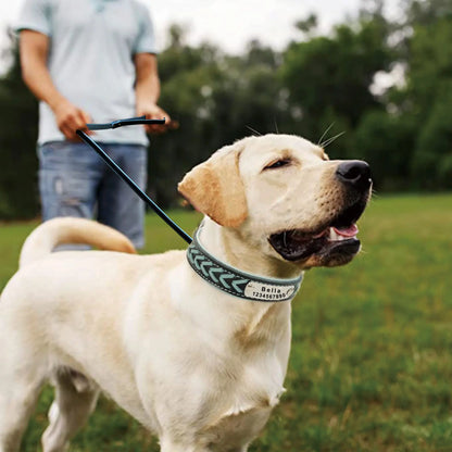 Engraved Leather Dog Collar Braided Persoanzled ID Tag Collars Nameplate Customized Pet Collar Leather Pet Walking Leash Leads