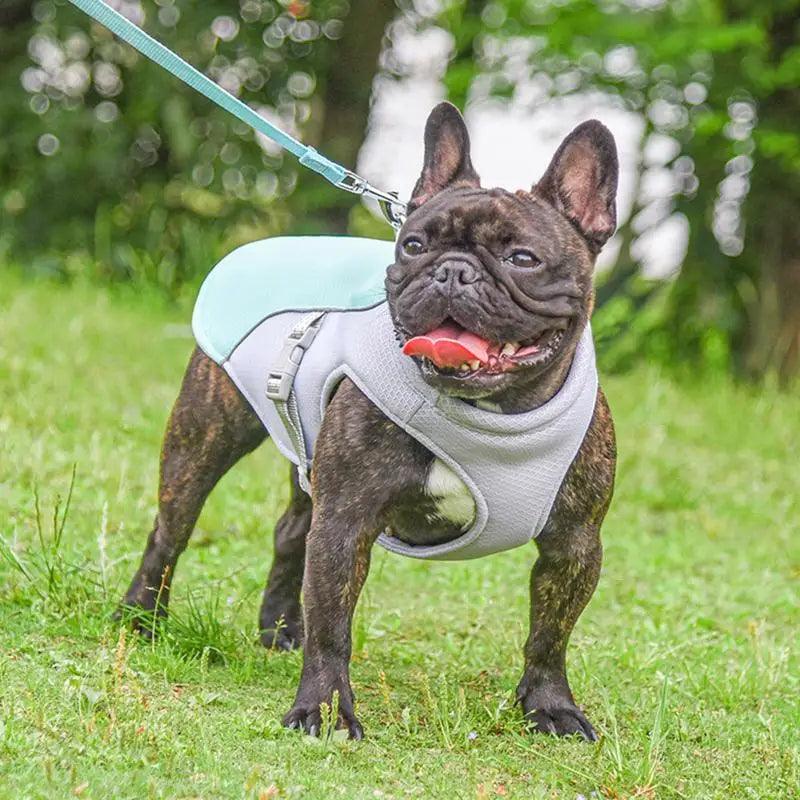 Dog Cooling Vest Summer Three-Layer Vest Dog Cooler Cooling Clothing Pet Dogs Health Supplies For Exercise Mountaineering Hiking